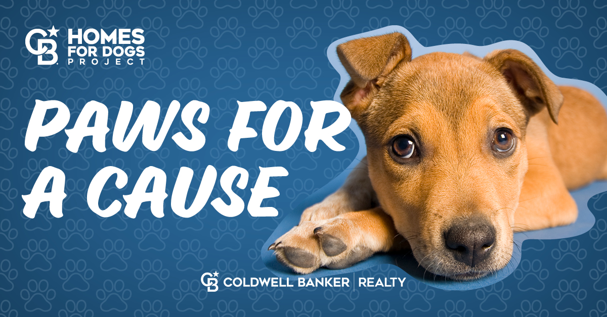 Homes for Dogs - SOCIAL_boost_Lrg